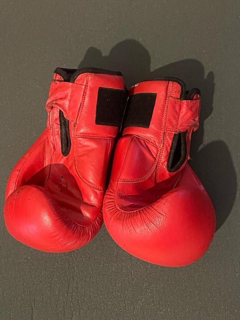 Kırmızı Bulls Boks Eldiveni - 5