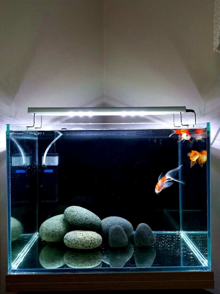 nano akvaryum set 40x30x30 - 8