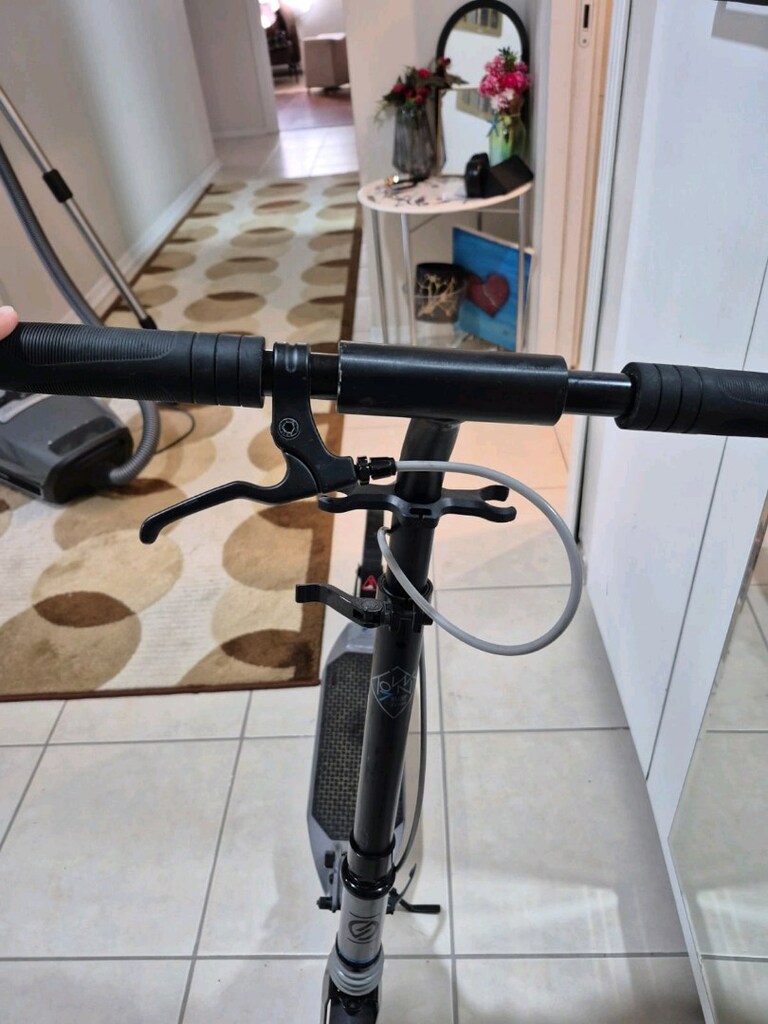 Scoter - 5