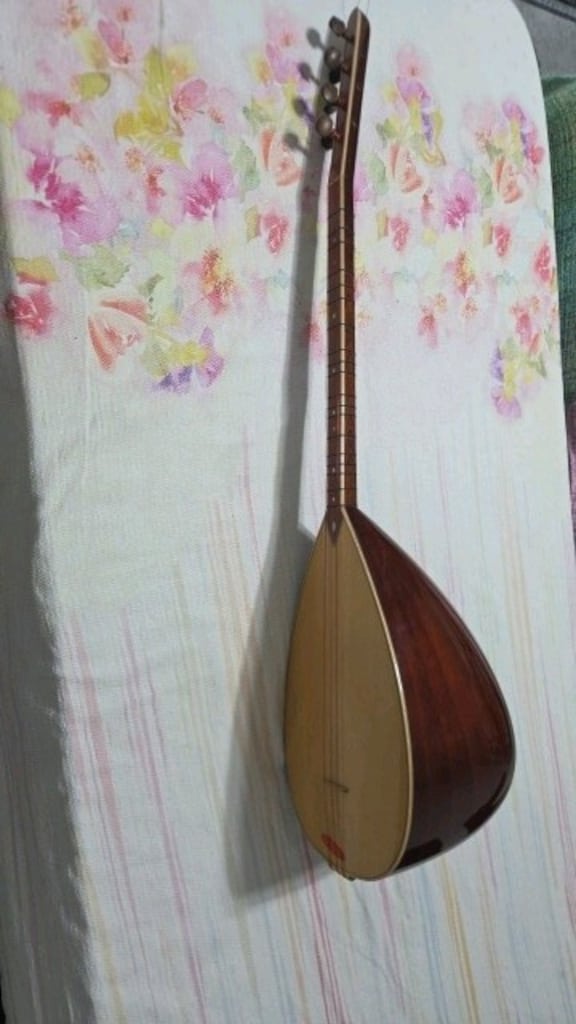 KISA SAP PROFESYONEL BAĞLAMA - 3