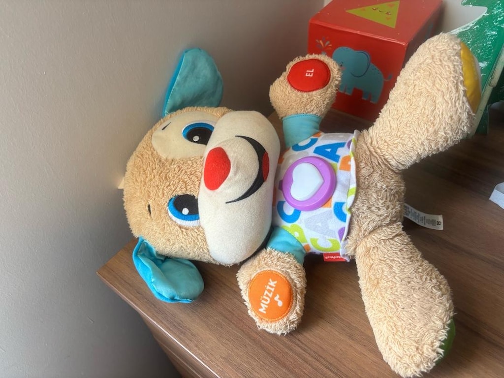fisher price eğitici köpekçik - 2
