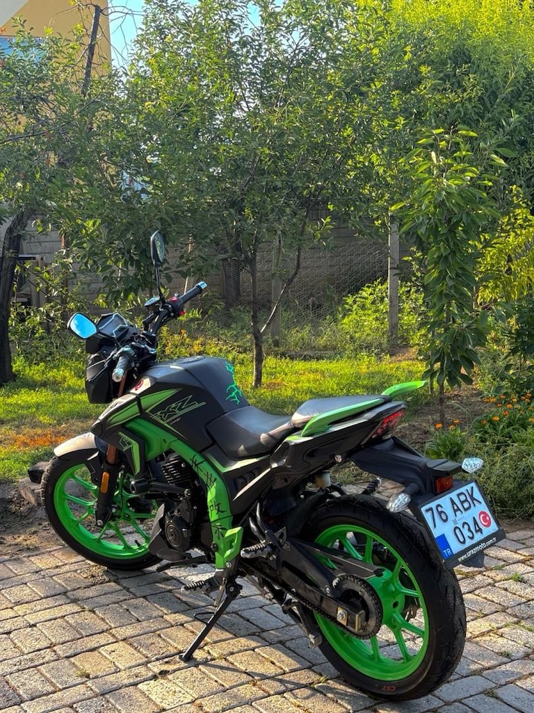 Arora shark - 5