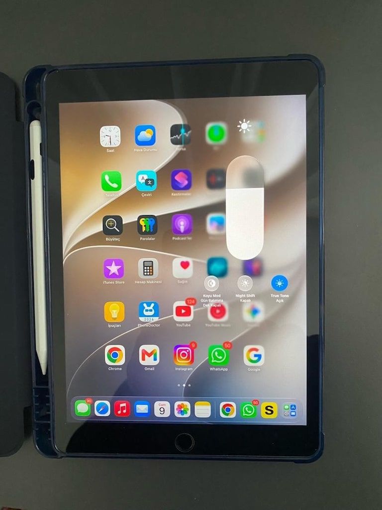 iPad 9. Nesil 256 GB Space Gray | Kutu Faturalı - 8