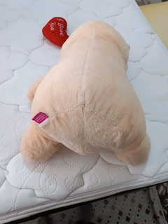 Sevimli renkli peluş ayıcıklar - 4