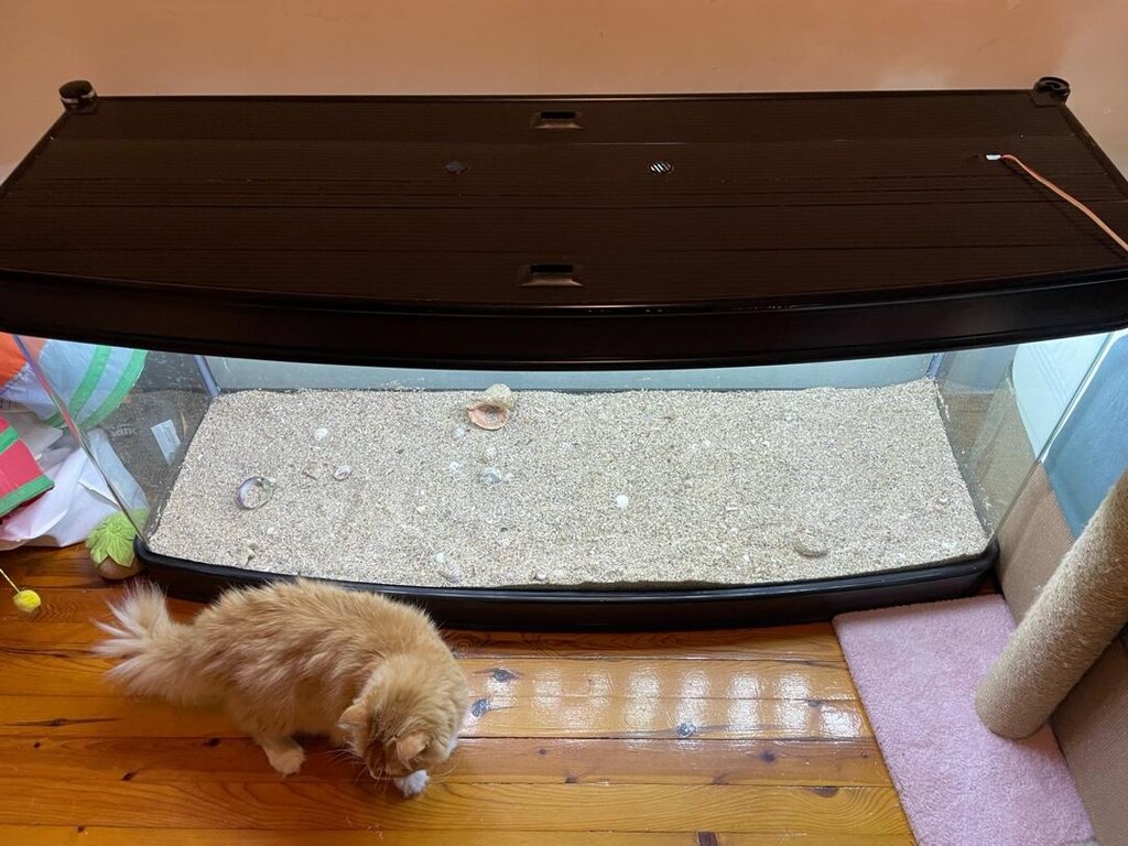 (Antalya İçi Nakliye Bizden!) Five Star Aquariums Dev Bombeli Akvaryum - 3