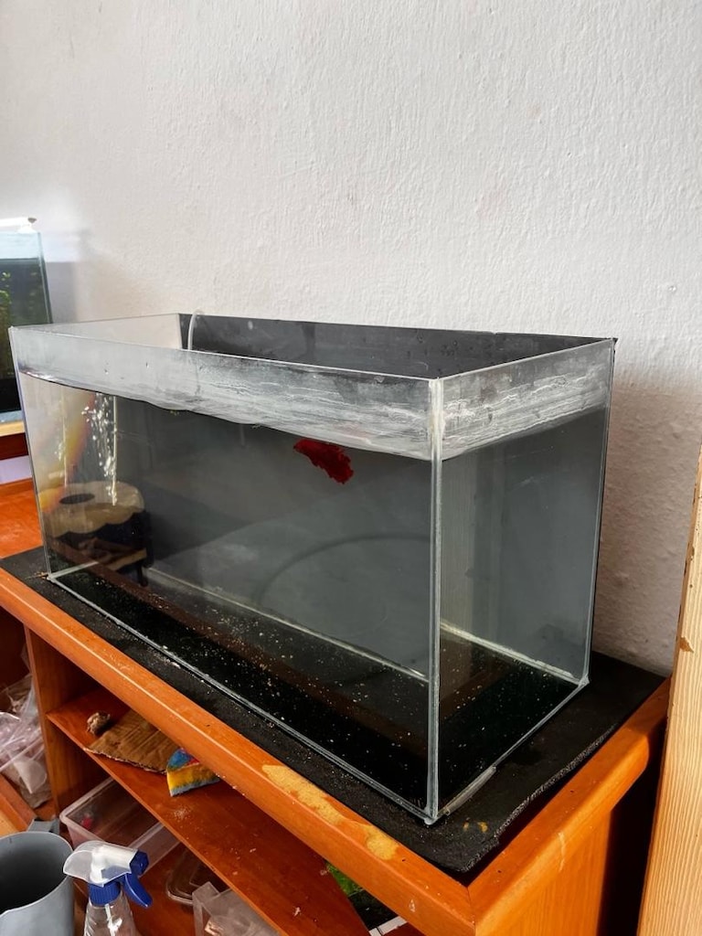 65 cm akvaryum - 3