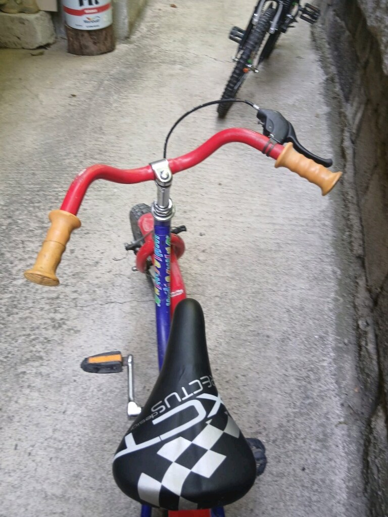 alman bisiklet - 5