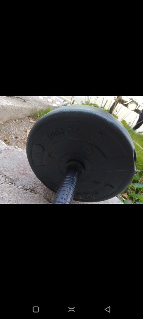 Dambıl - 6