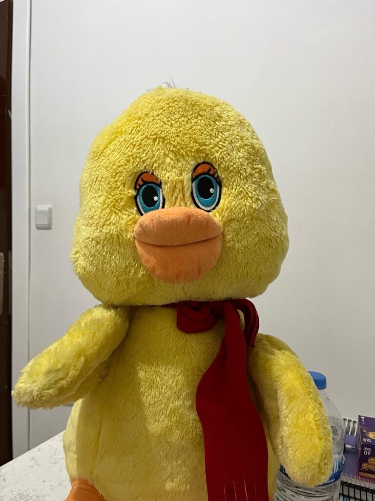 peluş ayıcık - 5