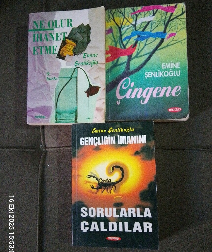 EMİNE ŞENLİKOĞLU KİTAPLARI - 3