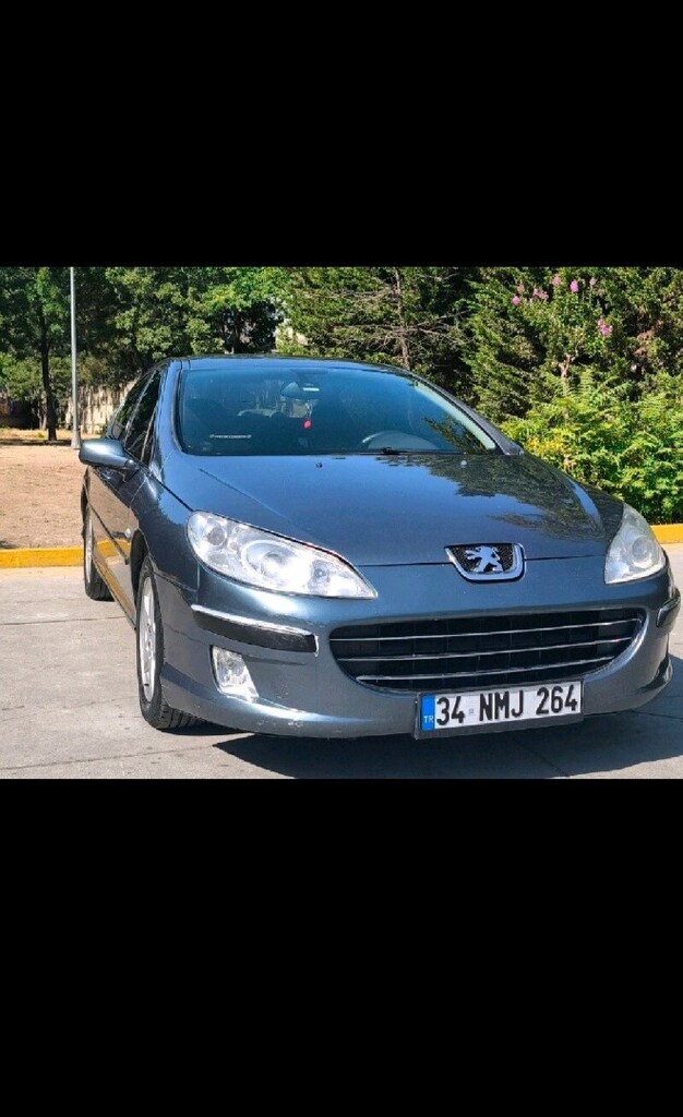 Pejo 407 2.0 HDI - 3
