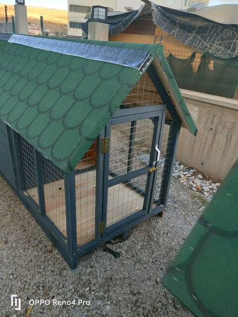 köpek kulübesi