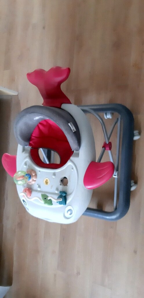 bebek örümcek yürüteç - 3