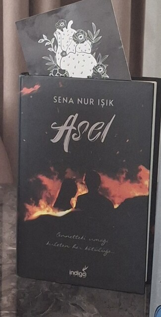 12 ADET KİTAP