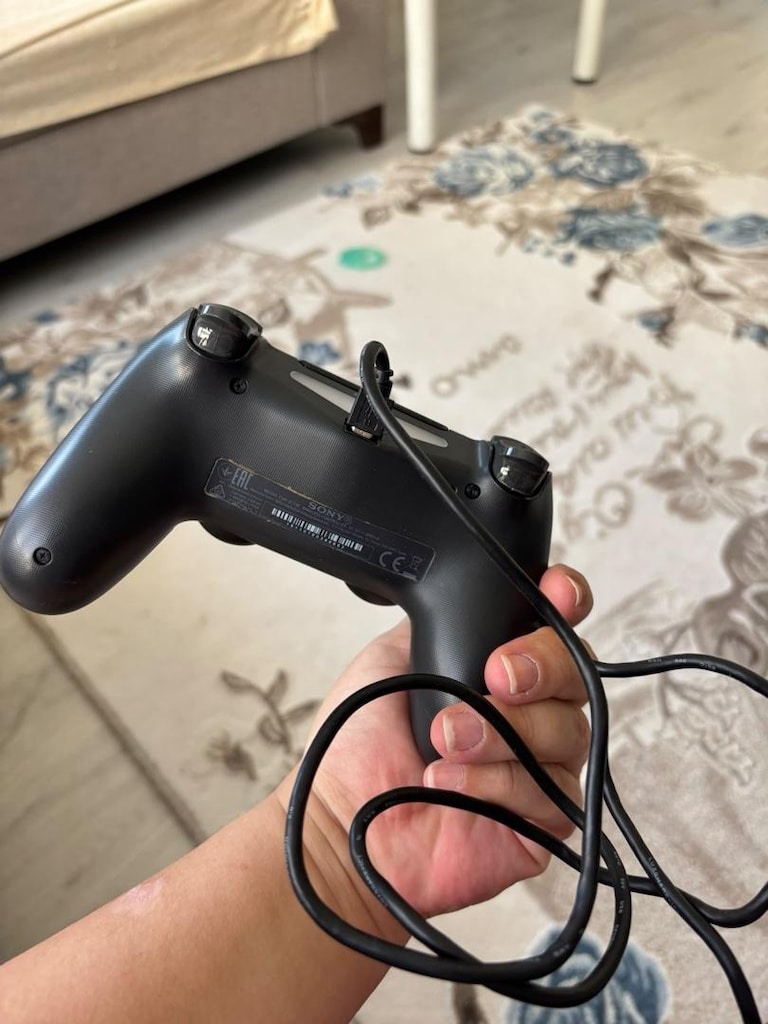 PS 4 Oyun Kolu - 3