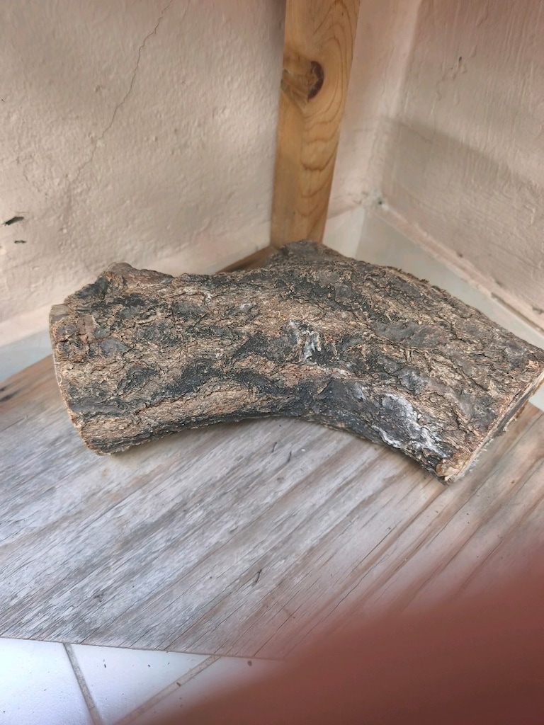 satılık iguana teraryum malzmeleri - 5