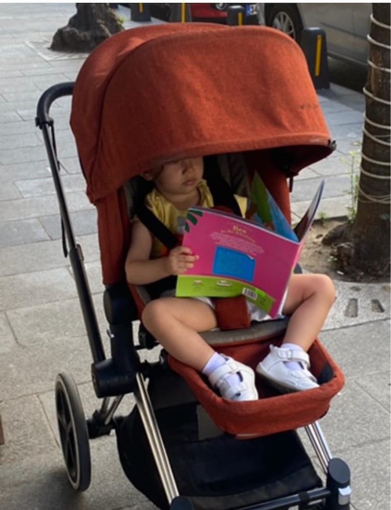 Cybex Priam Bebek arabası - 5
