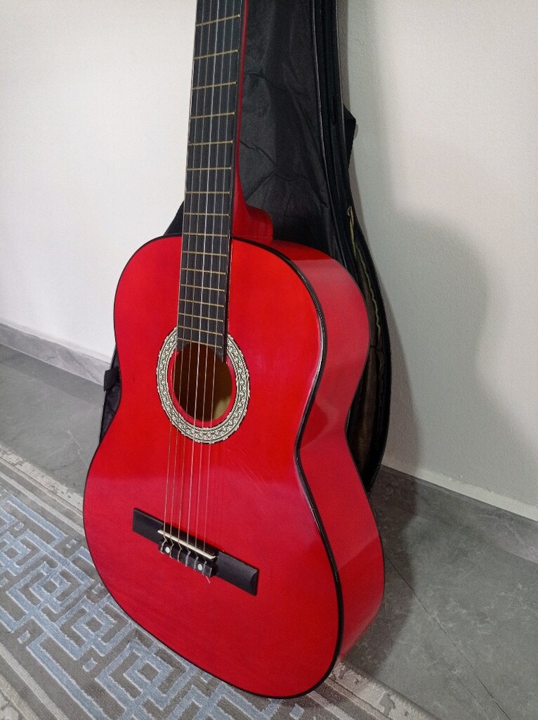 SİLVERİO 4/4 GİTAR - 4