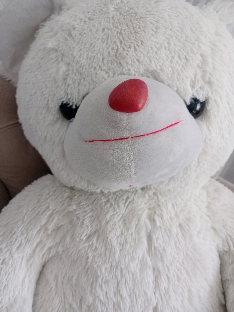 Peluş Ayıcık - 5