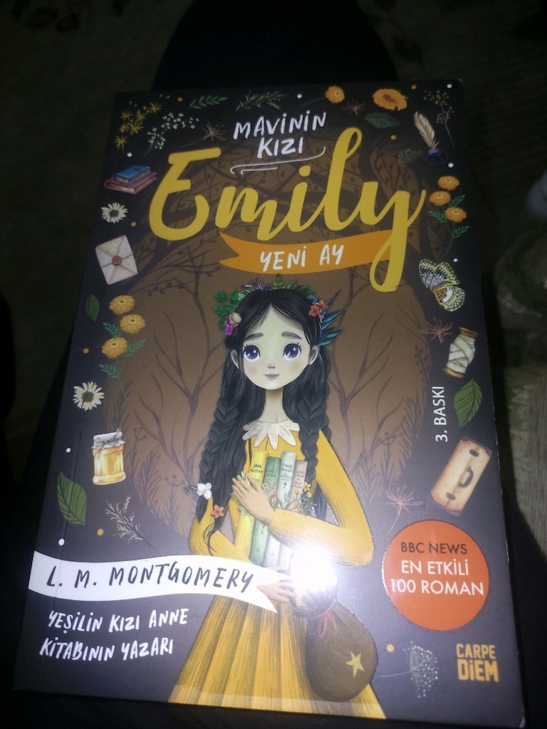 mavi nin kızi Emily kitabı - 2
