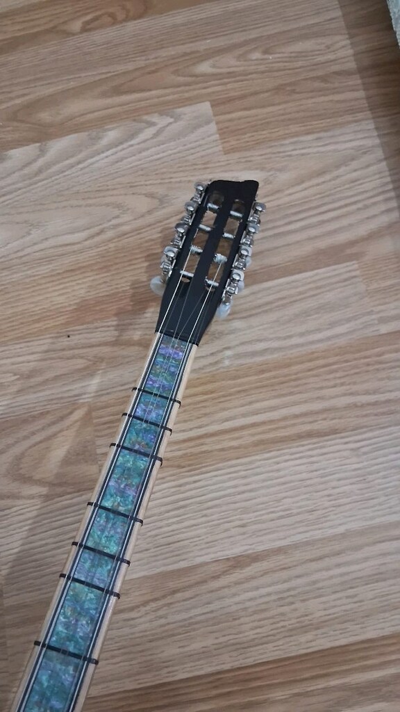 Kısa Sap Gitar Burgulu Bağlama +Kılıf - 6