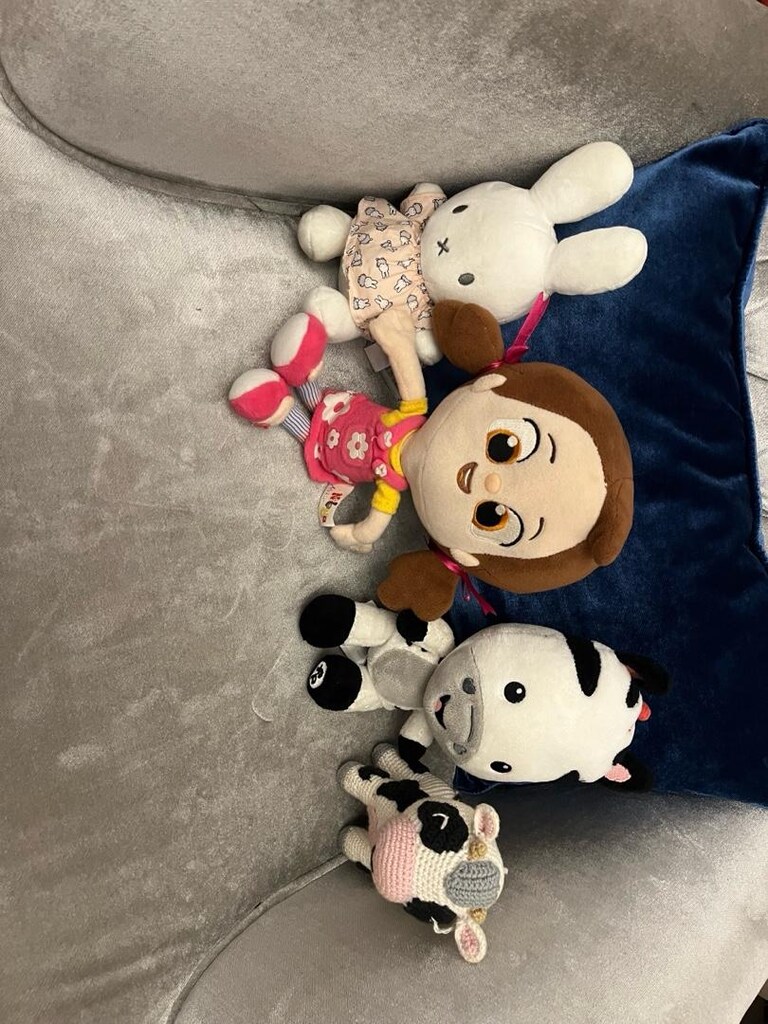 Fischer Price Eğitici köpekçik, Stitch, kedi, köpek,micky, maymun, ayı - 8