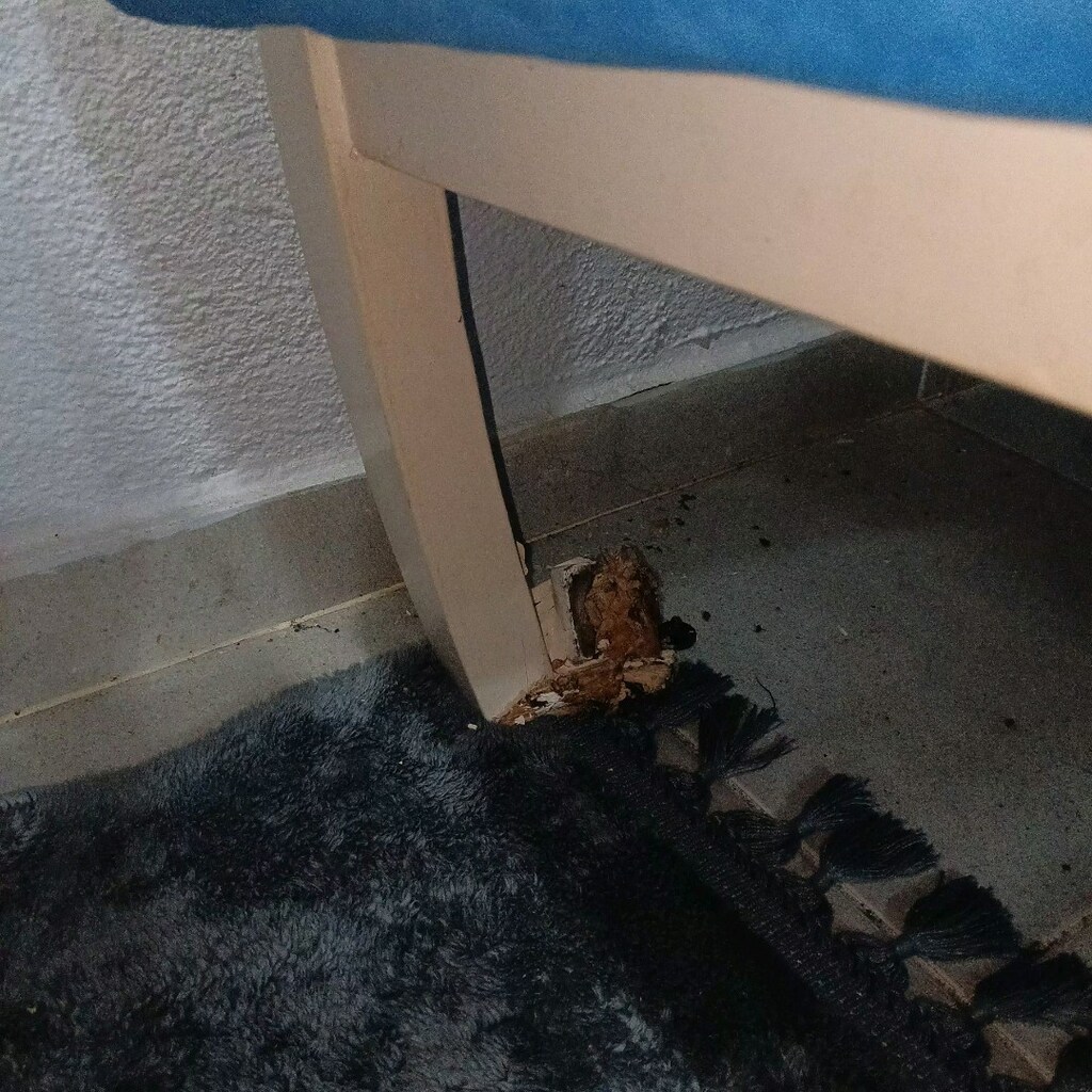 ACİL SATILIK SON FİYATTIR. Balkon koltuk takımı 2+1+1 ve katlanır masa - 8