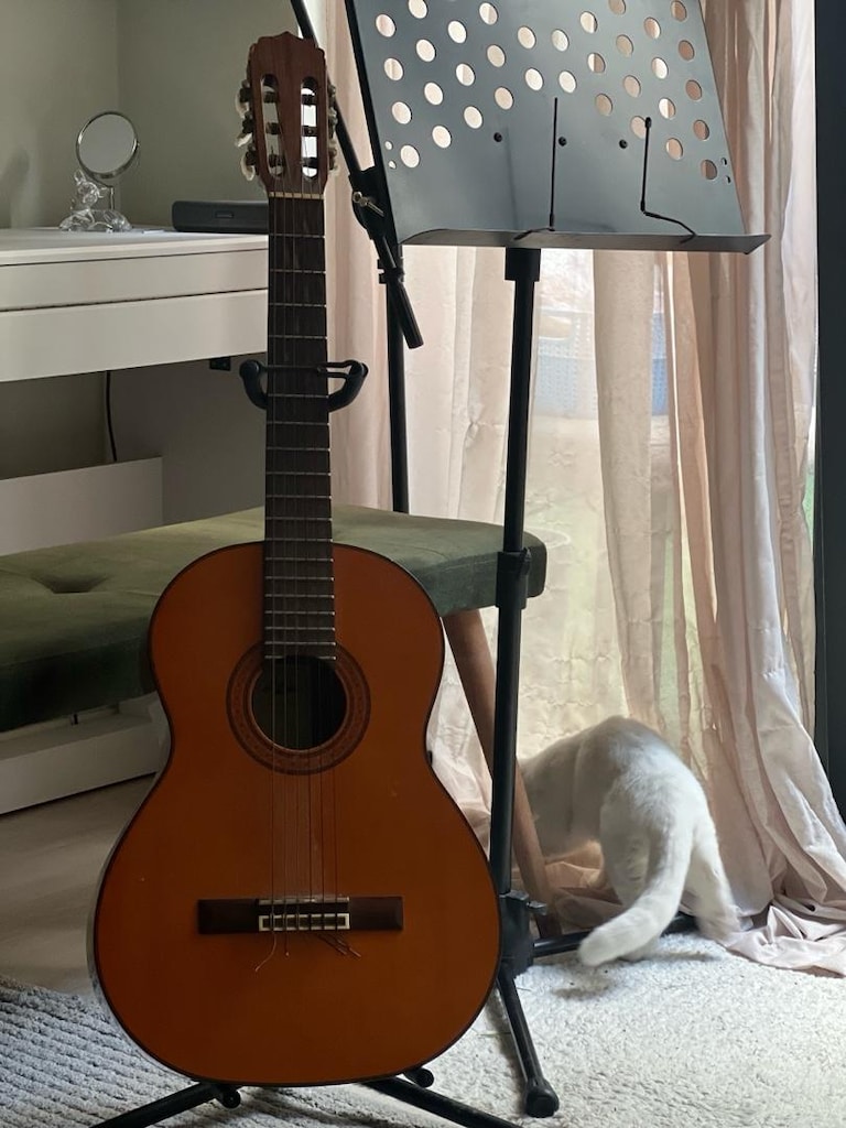 gitar