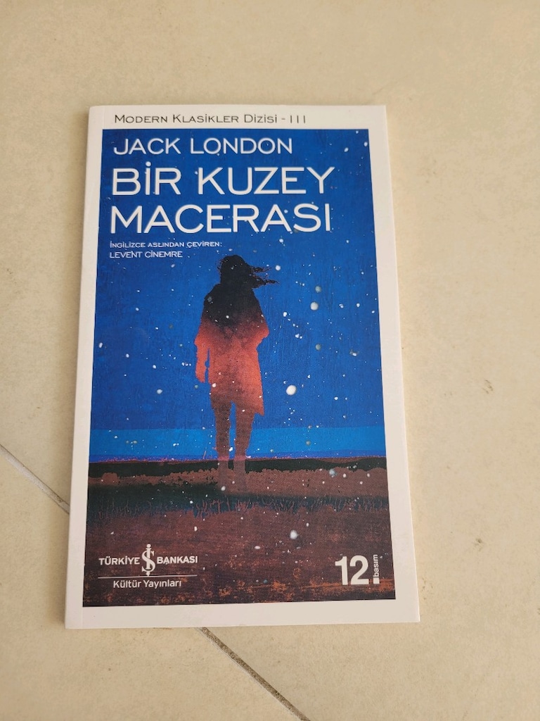minimalist kitaplar dünya klasikleri - 2