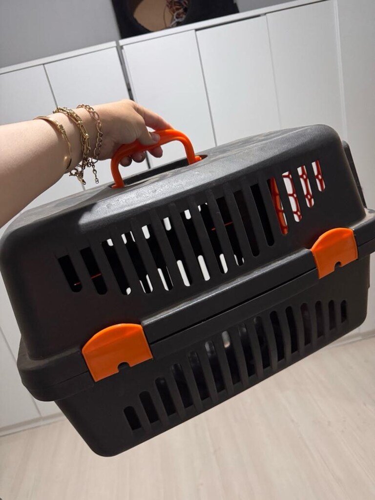 kedi köpek taşıma çantası - 2