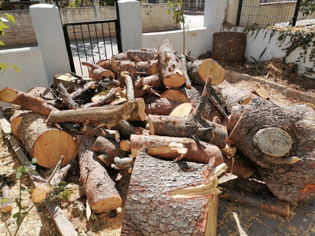 Odun - 5
