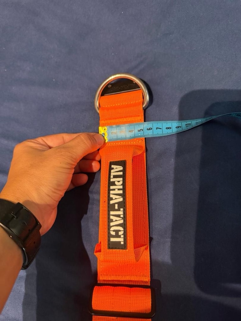 Alpha- Tach Turuncu Boyun Tasması - 6