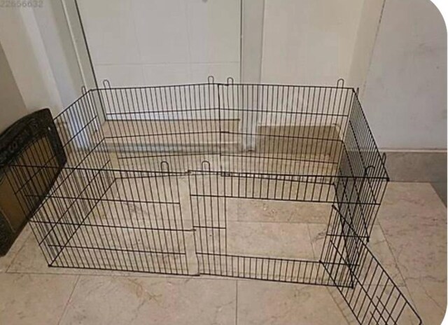 kedi- köpek kafesi
