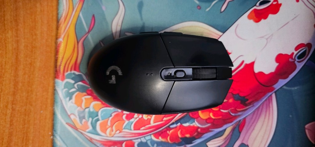 g305 - 3