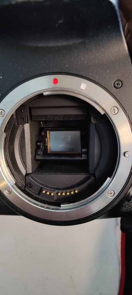 Canon EOS7D - 9