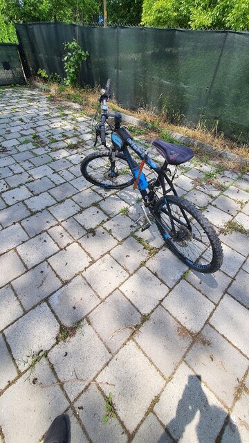 carraro dağ bisikleti