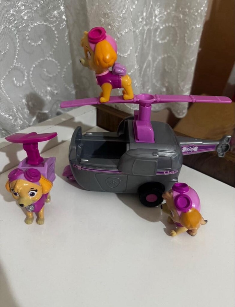 Paw Patrol sky - 3