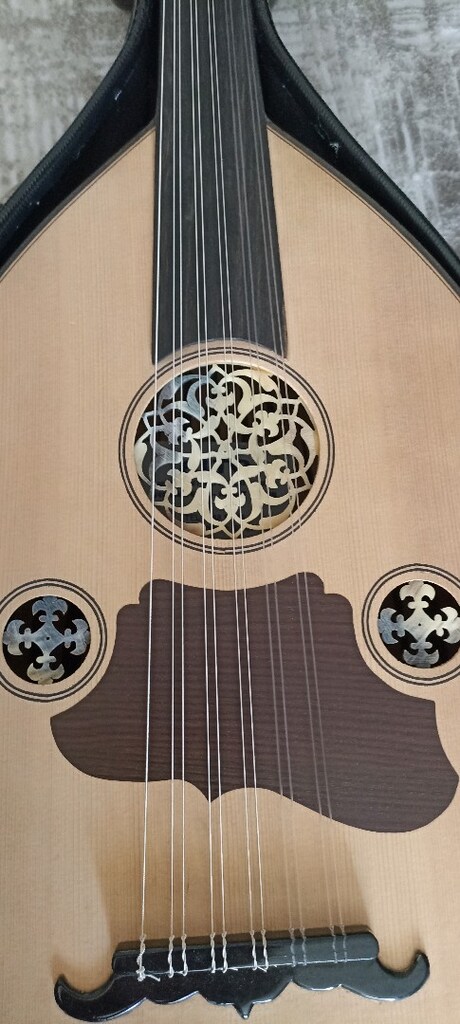 Vefa Aldemir - Ahmet Topan El Yapımı Ud + Hardcase - 2