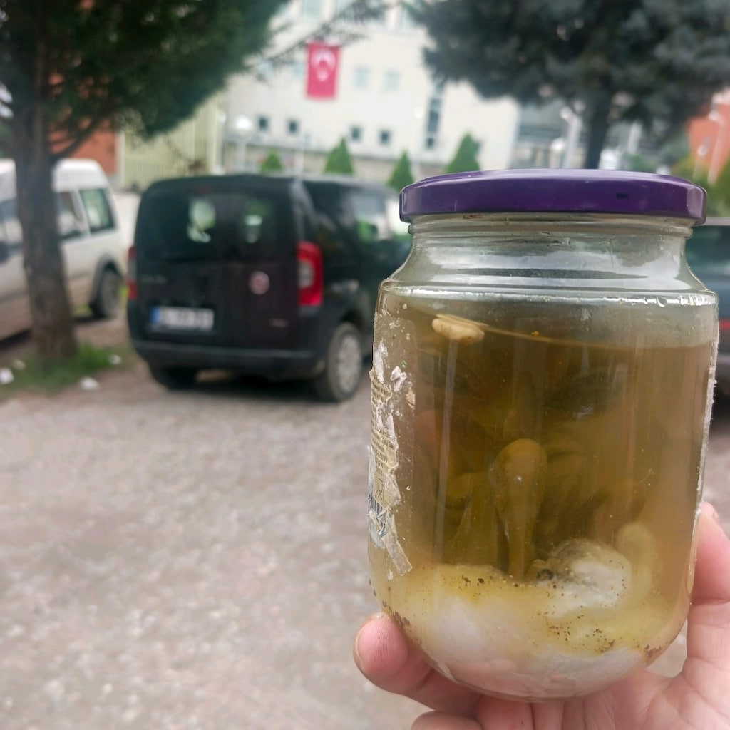 51inci bölgede yakalayıp patates ettiğimiz uzaylıların cocugu. - 3