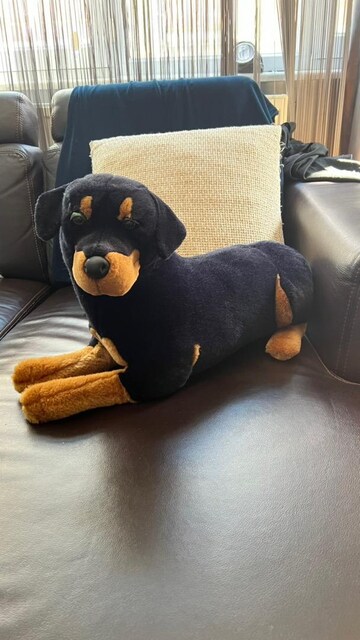 Peluş köpek