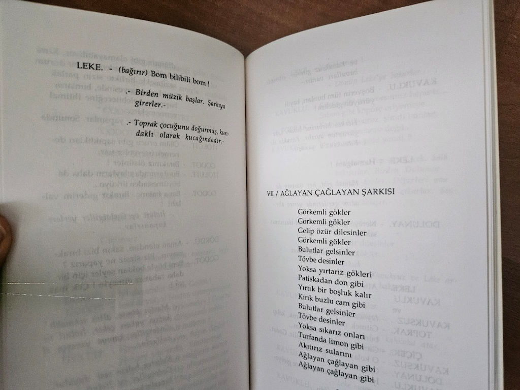 Ferhan Şensoy - Güle Güle Godot - 5