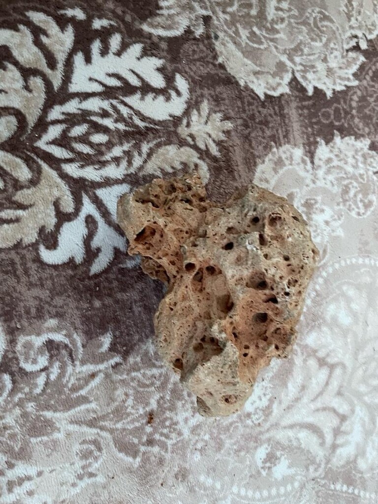 Dev Doğal ve Nadir Deniz Kayaları (Büyük Akvaryum Dekoru Amaçlı) - 4