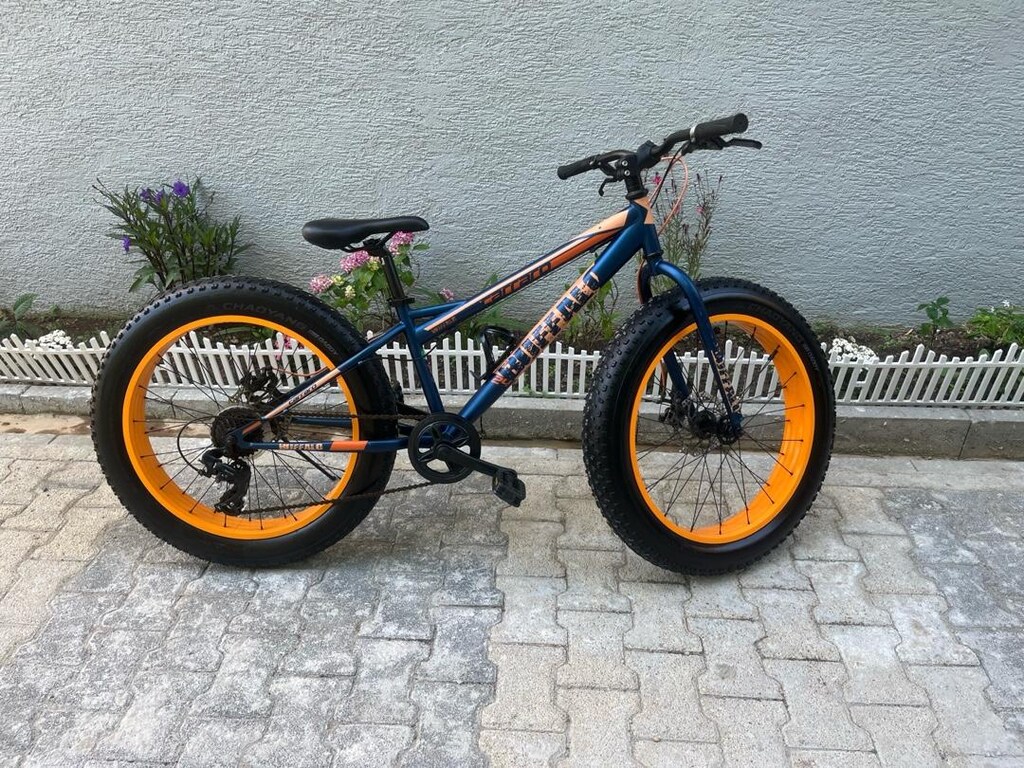 SATLIK CARRARO BUFFALO - 3