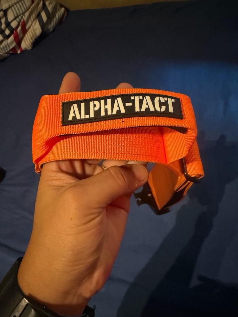 Alpha- Tach Turuncu Boyun Tasması - 5
