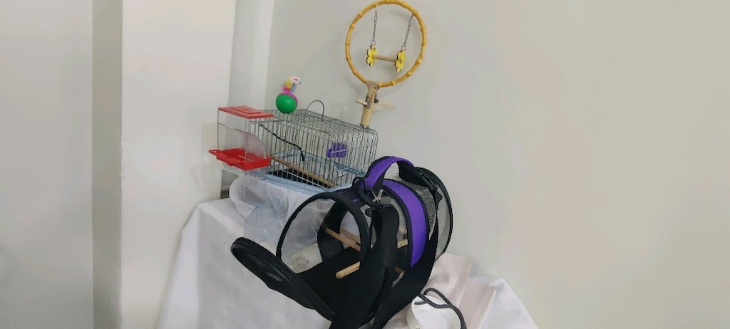 kuş kafesi ve AVM ÇANTASI ile - 4