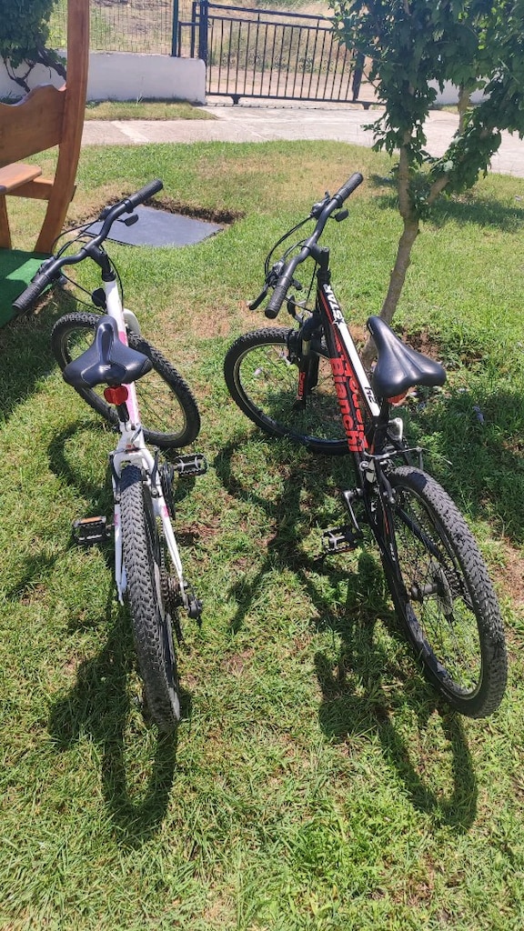 Bianchi 24J Bella (bayan) - Bianchi 24J Star dağ bisikleti - 4