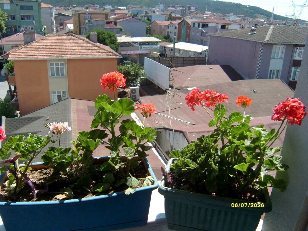Samsung L74 Wide Dijital Fotoğraf Makinesi 7.2 Megapiksel 3x Zoom Siya - 16