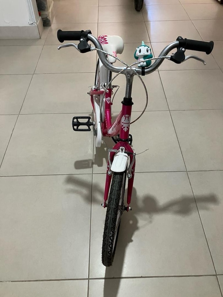 Bianchi Çocuk Bisikleti 16 jant - 3