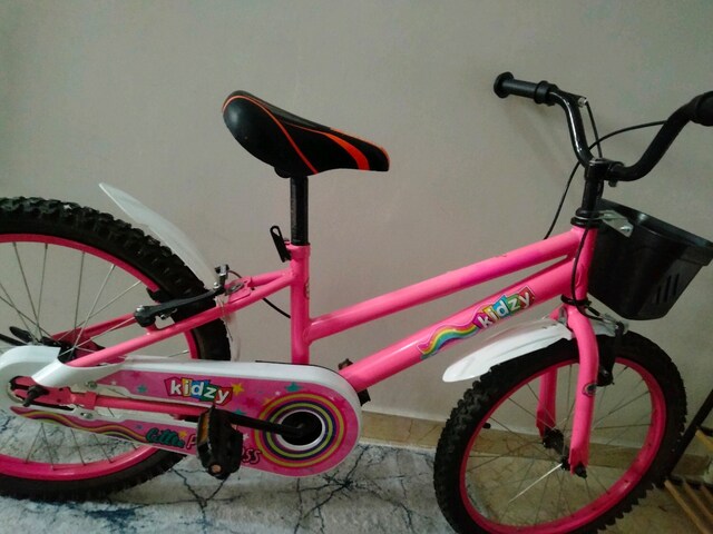 kidzy çocuk bisikleti