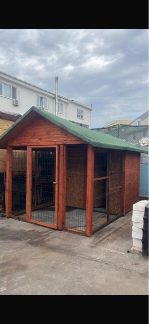 KÖPEK KULÜBESİ KALİTELİ TEMİZ